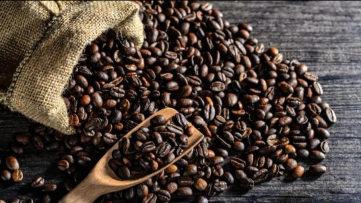 Harga Kopi Robusta Terkini di Tahun 2025